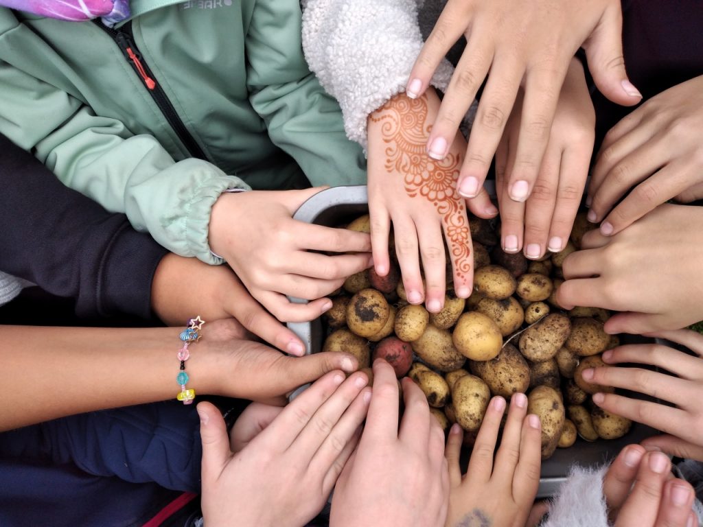 Der Herbst im Schulgarten